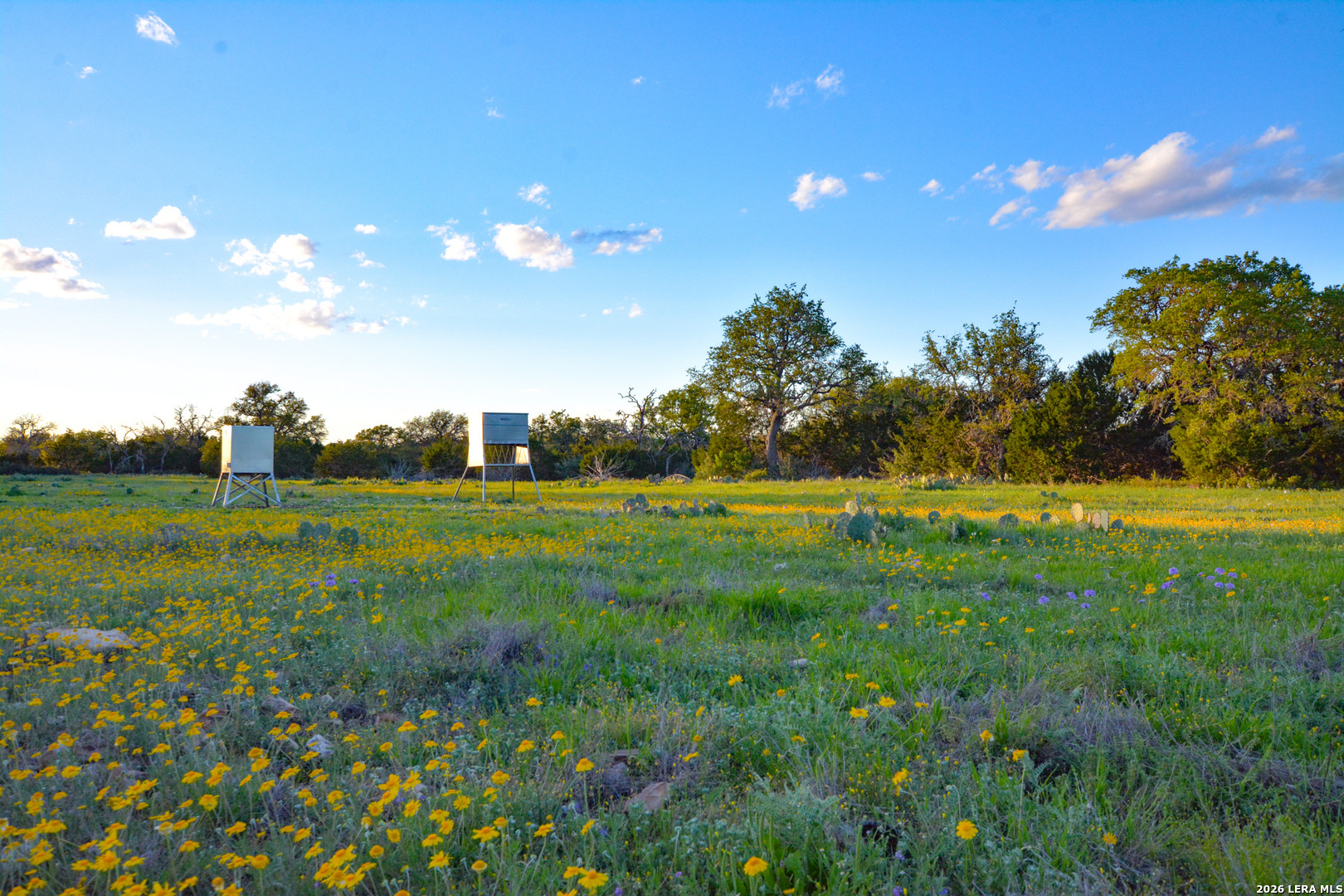 482 Wingert Road Junction TX 76849