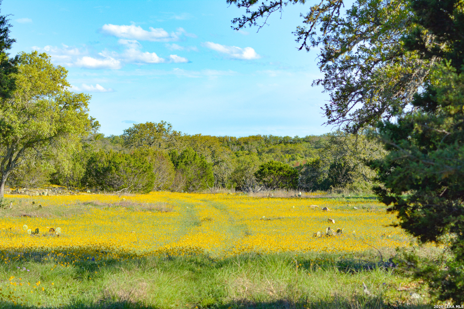 482 Wingert Road Junction TX 76849