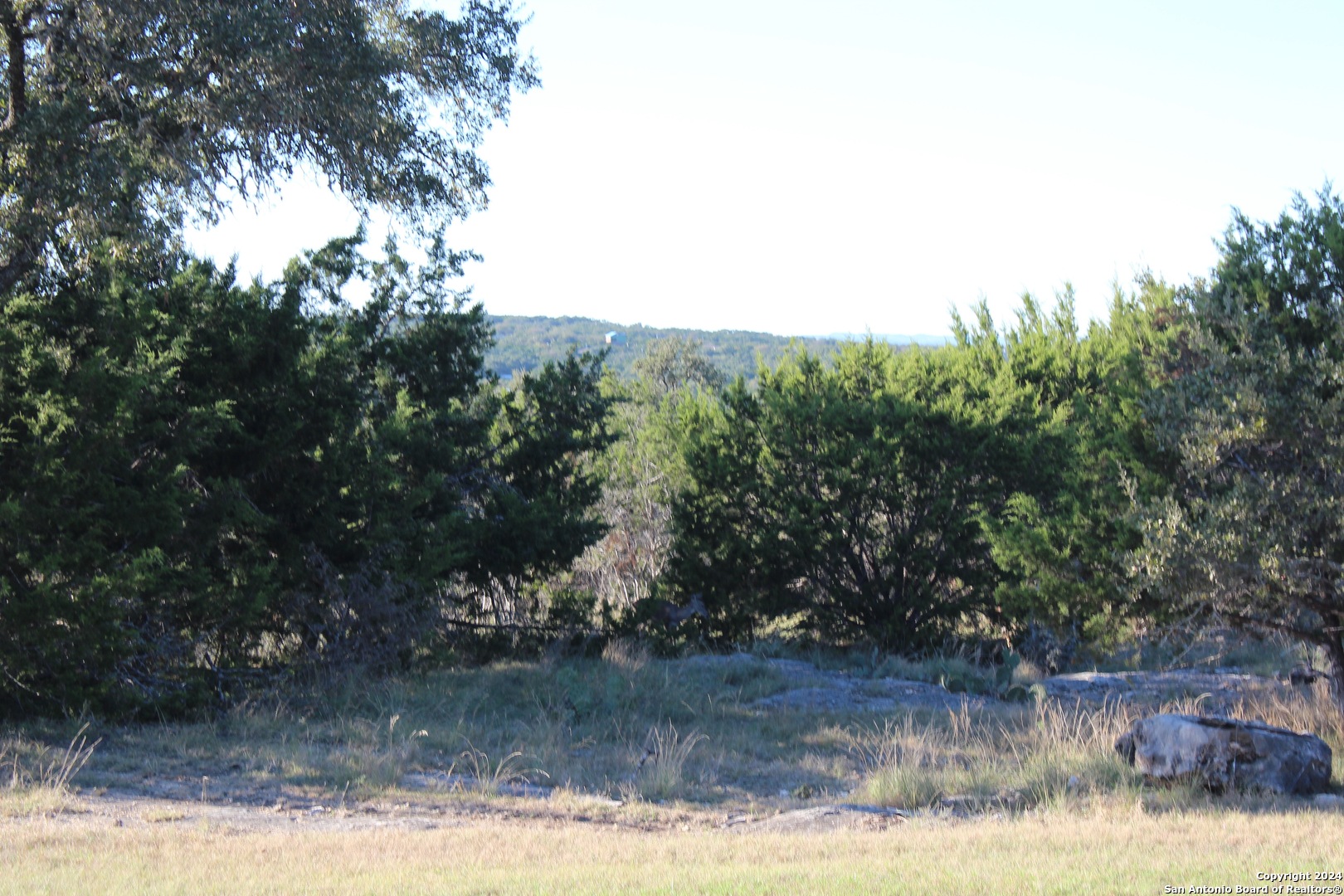 463 Lantana Mesa Spring Branch TX 78070