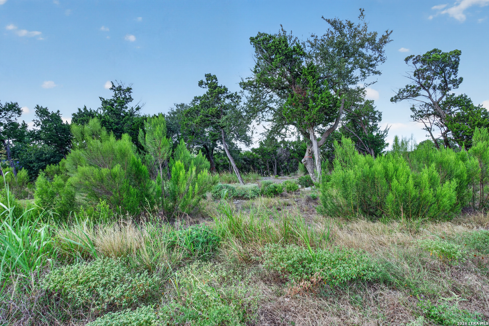 1466 Chianti New Braunfels TX 78132