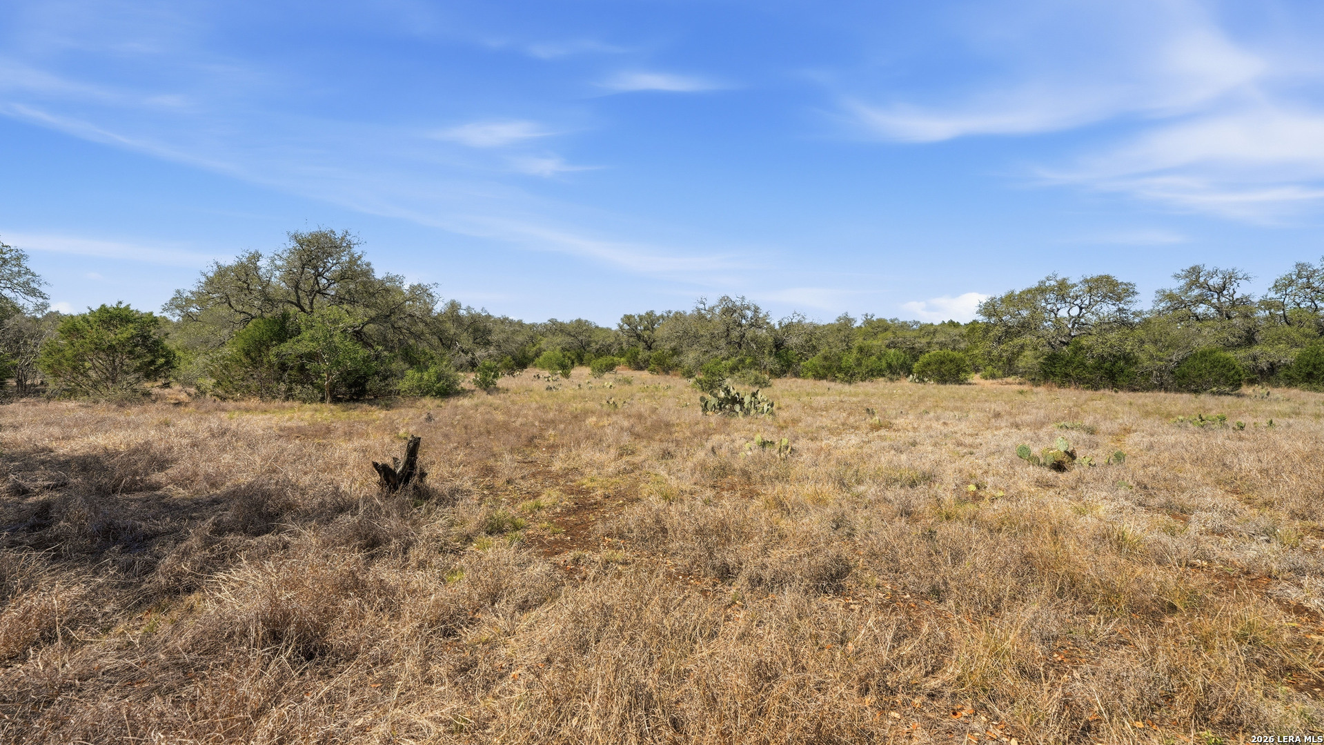 2124 Francisco Pass Canyon Lake TX 78133