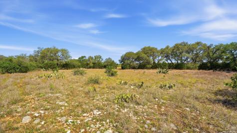 2124 Francisco Pass Canyon Lake TX 78133