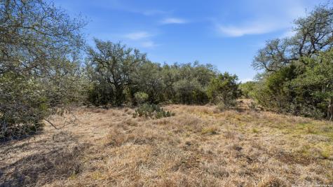 2124 Francisco Pass Canyon Lake TX 78133
