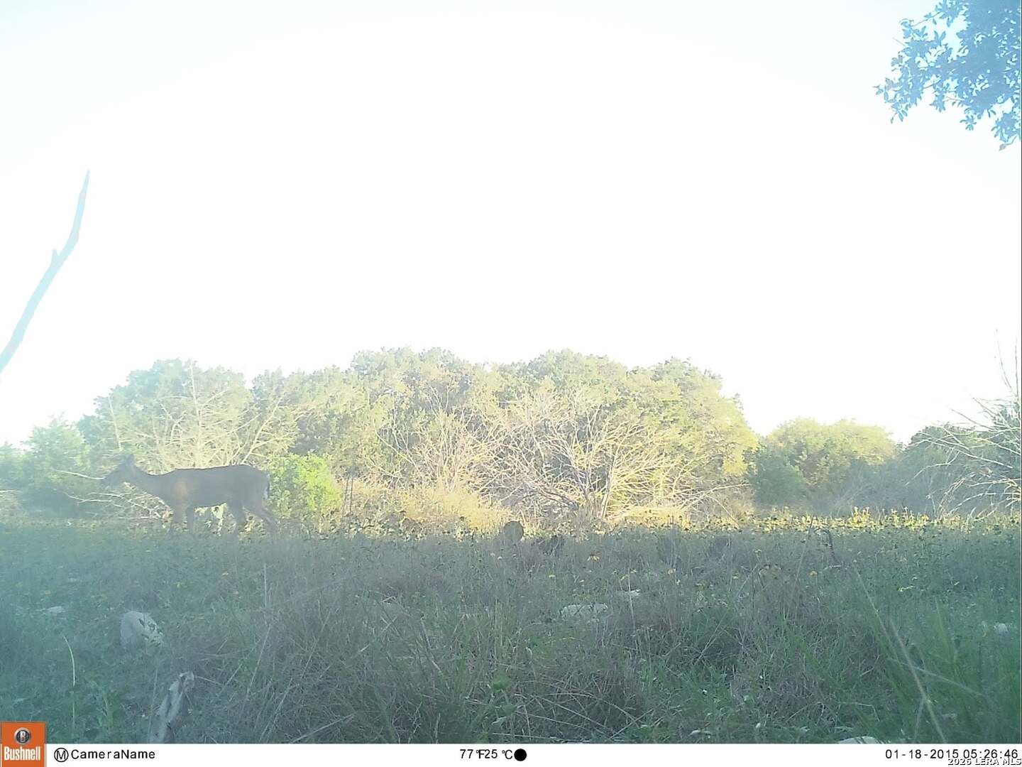 116 Leona Ranch Road Brackettville TX 78832