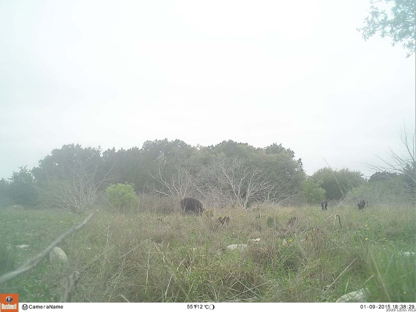 116 Leona Ranch Road Brackettville TX 78832
