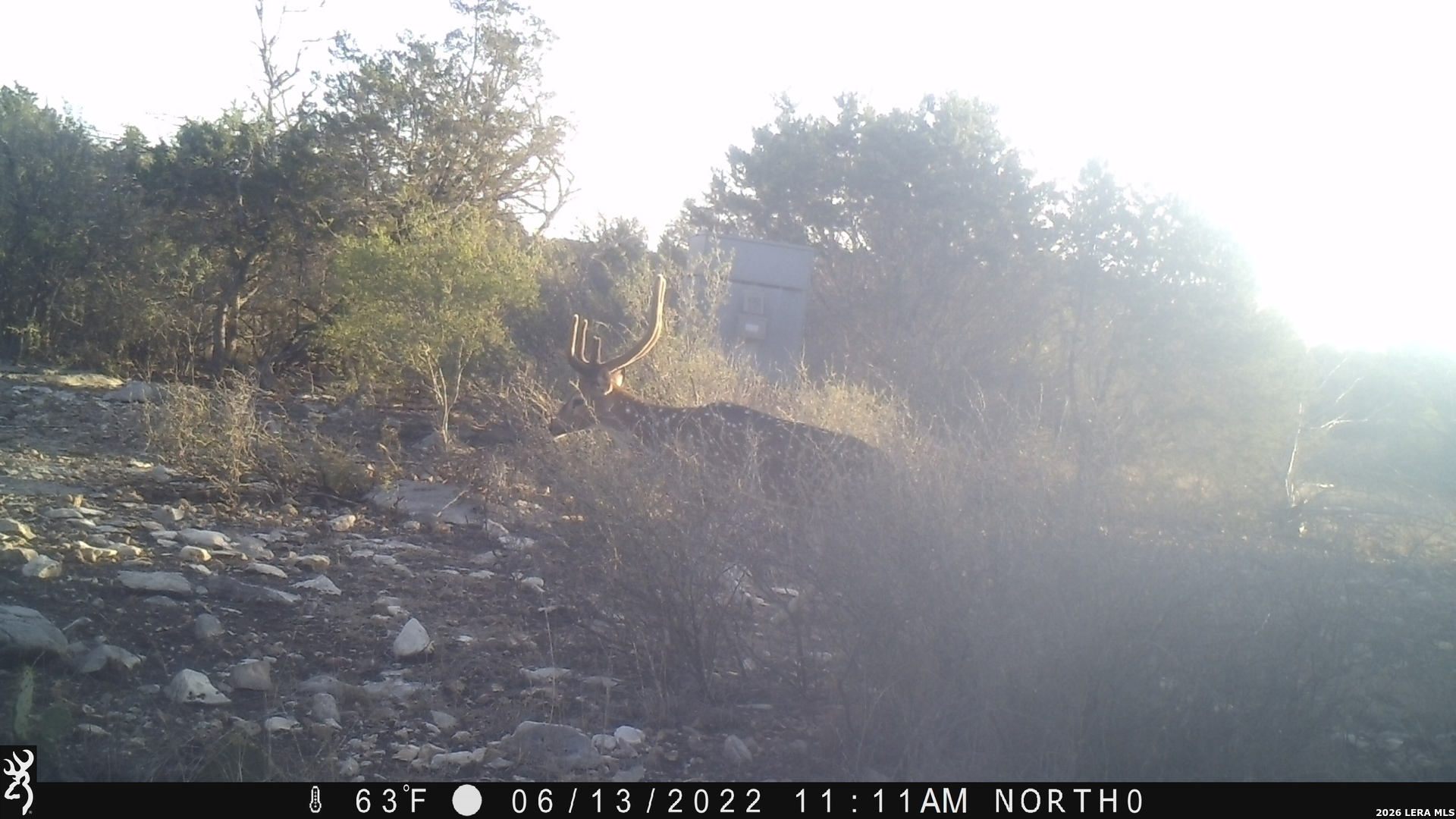 116 Leona Ranch Road Brackettville TX 78832