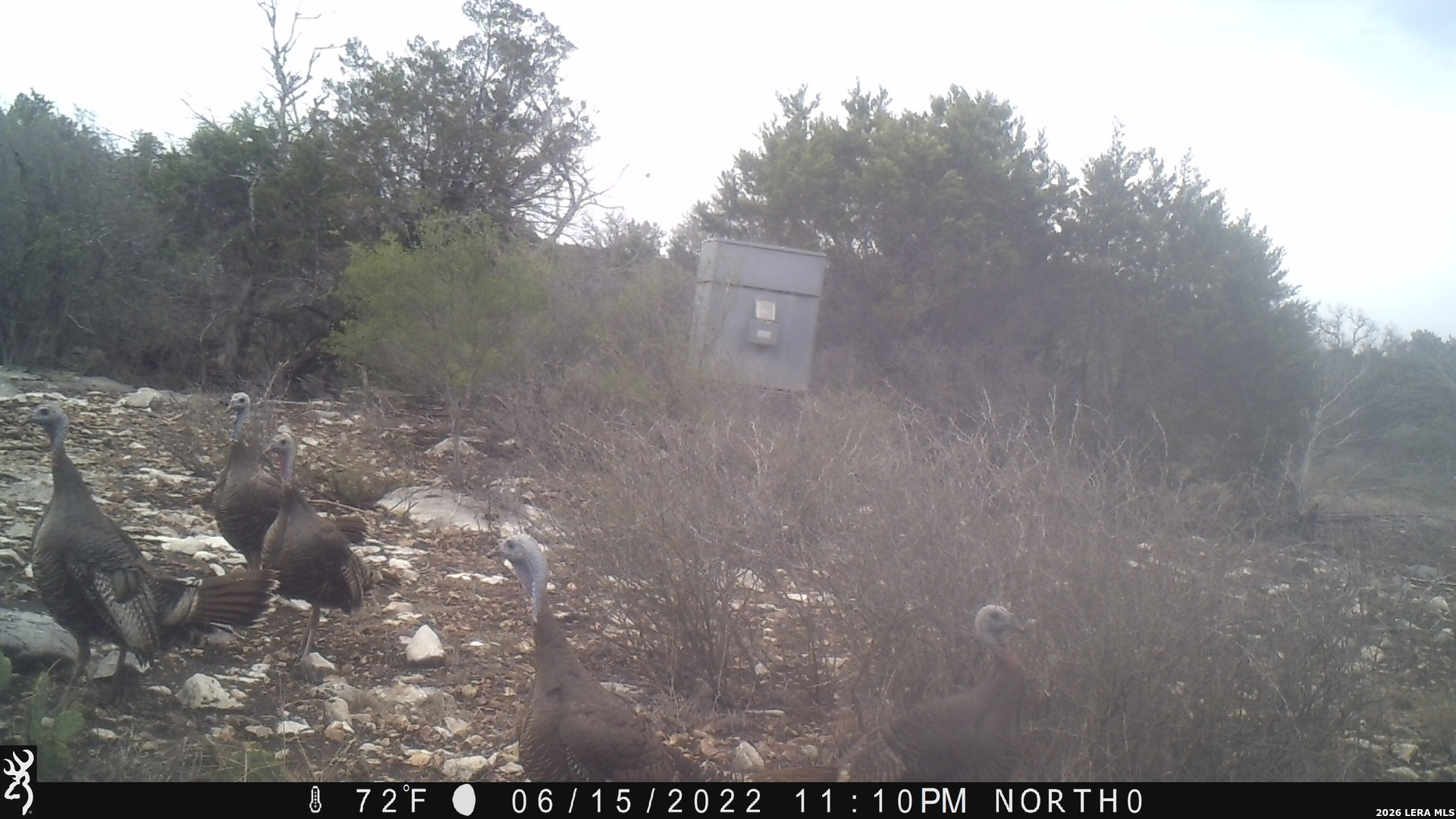 116 Leona Ranch Road Brackettville TX 78832