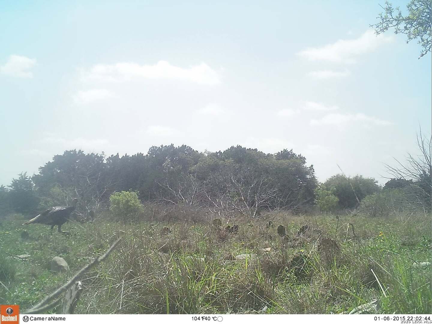 116 Leona Ranch Road Brackettville TX 78832