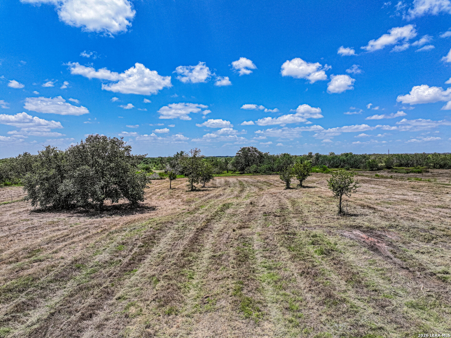 5984 Fm 1107 Tract 2 Stockdale TX 78160
