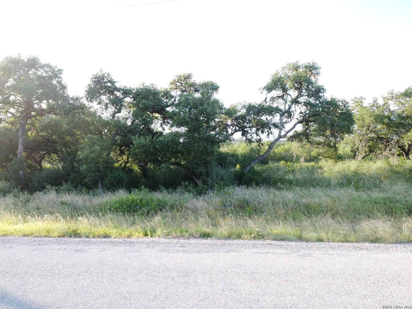 181 Grand Oaks Hondo TX 78861