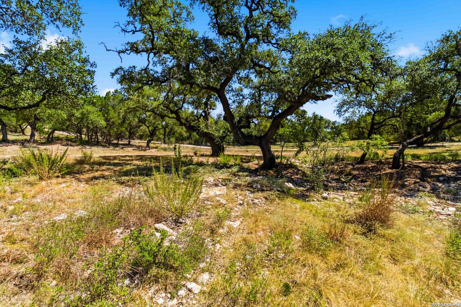 32870 Stahl Lane Bulverde TX 78163
