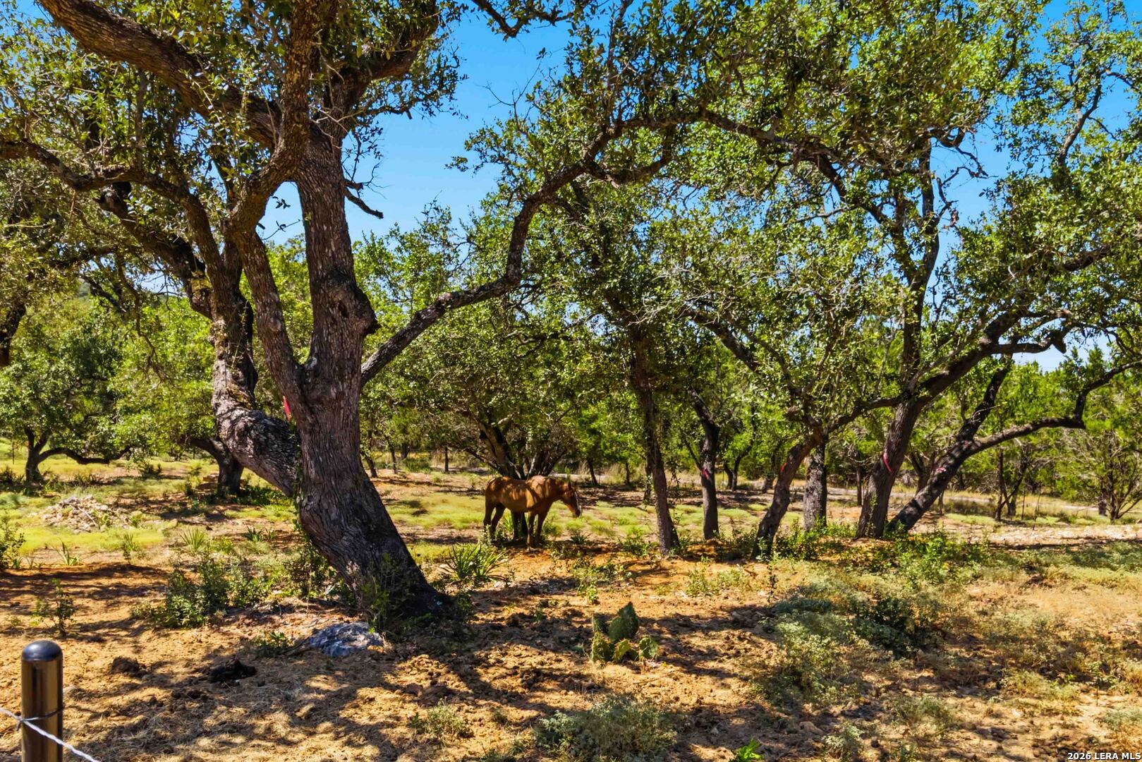 32870 Stahl Lane Bulverde TX 78163