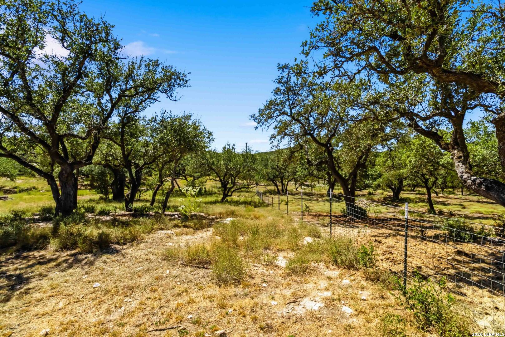 32870 Stahl Lane Bulverde TX 78163