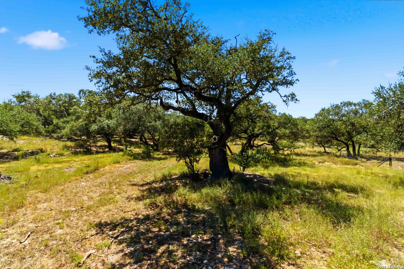 32870 Stahl Lane Bulverde TX 78163