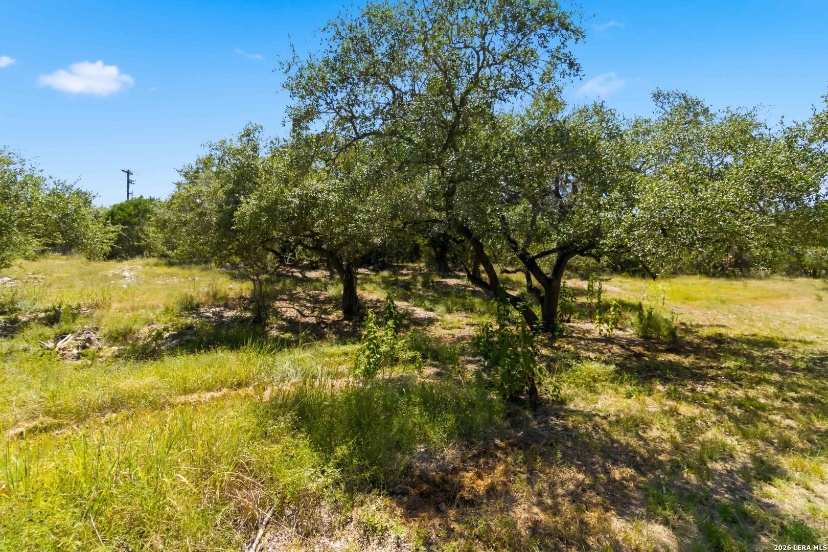 32870 Stahl Lane Bulverde TX 78163
