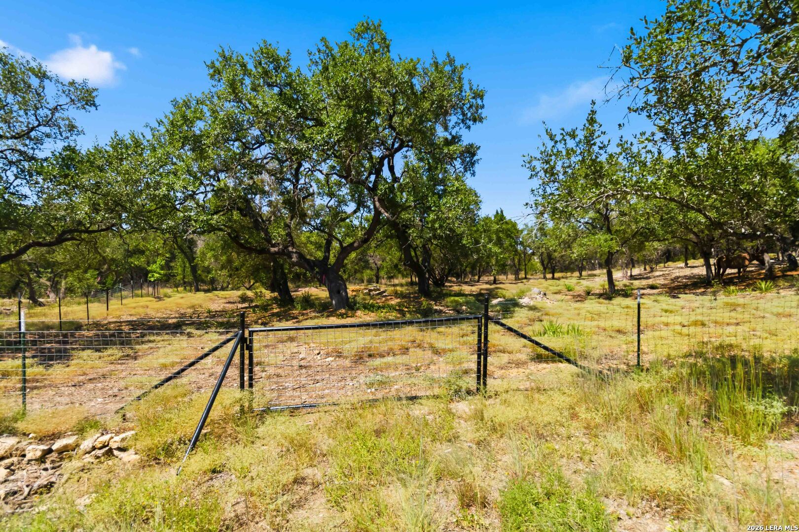 32870 Stahl Lane Bulverde TX 78163