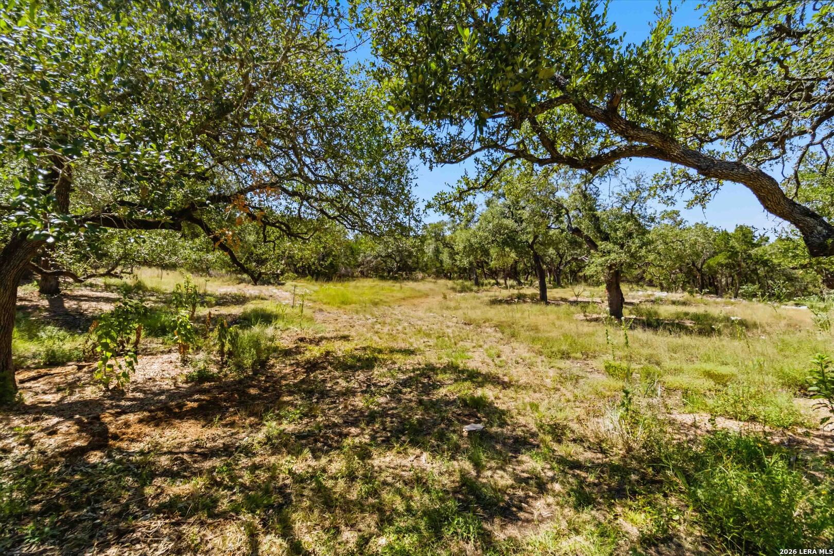 32870 Stahl Lane Bulverde TX 78163