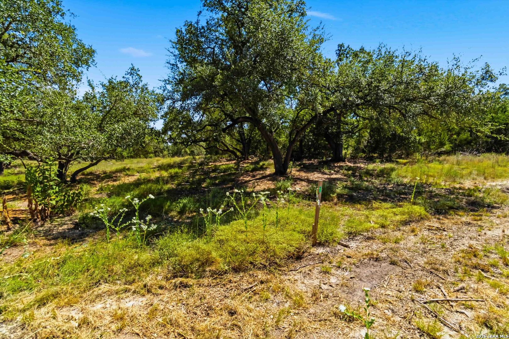 32870 Stahl Lane Bulverde TX 78163