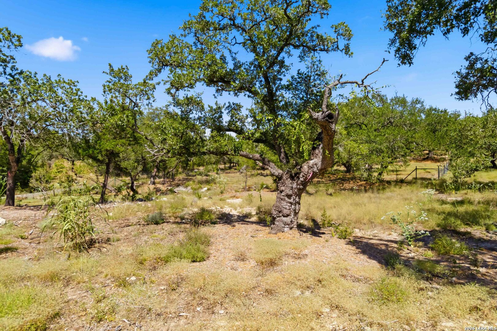 32870 Stahl Lane Bulverde TX 78163