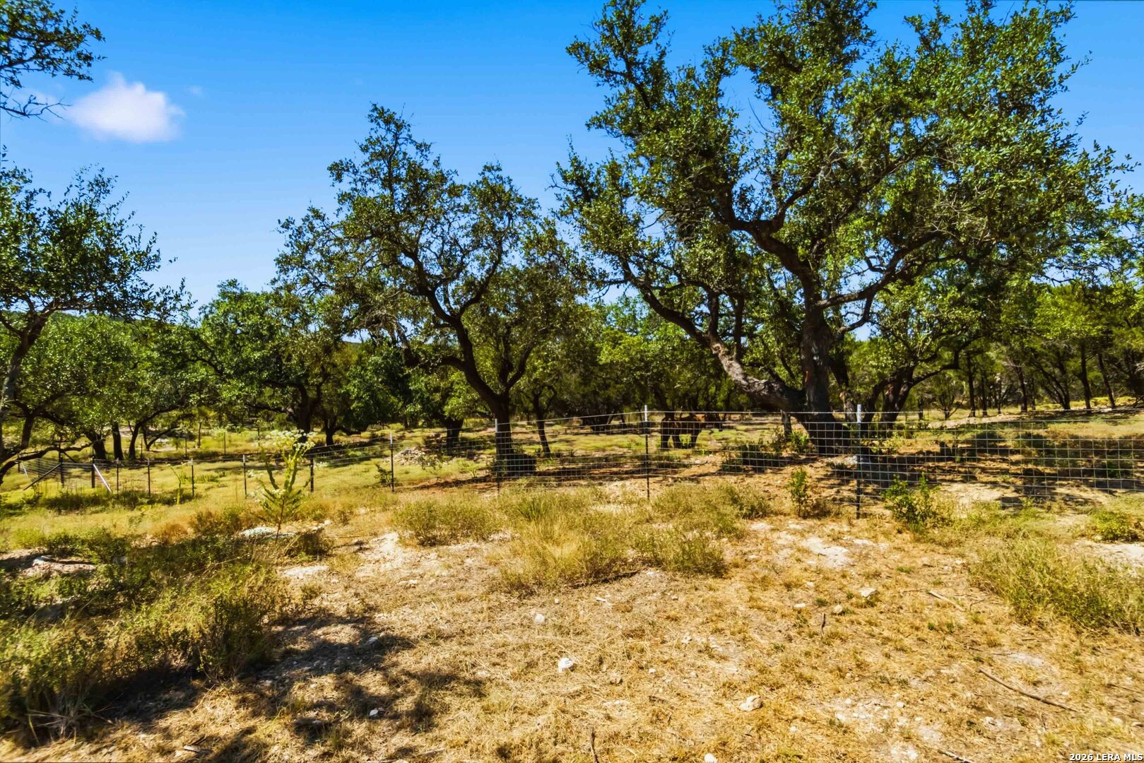 32870 Stahl Lane Bulverde TX 78163