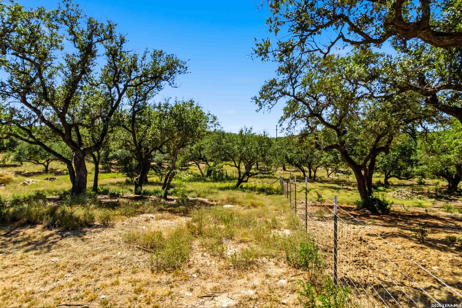 32870 Stahl Lane Bulverde TX 78163