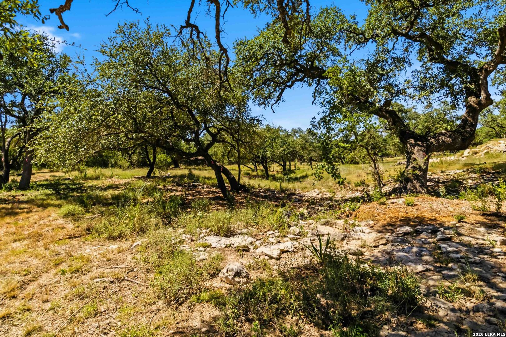 32870 Stahl Lane Bulverde TX 78163