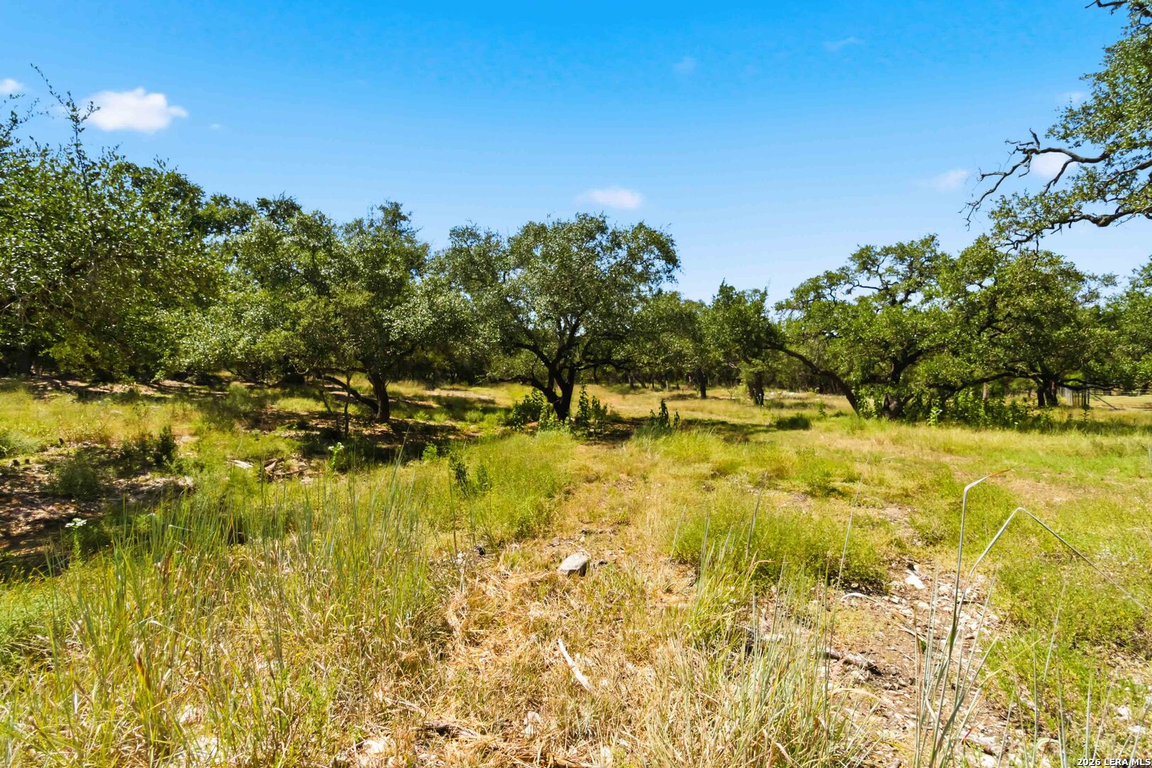 32870 Stahl Lane Bulverde TX 78163