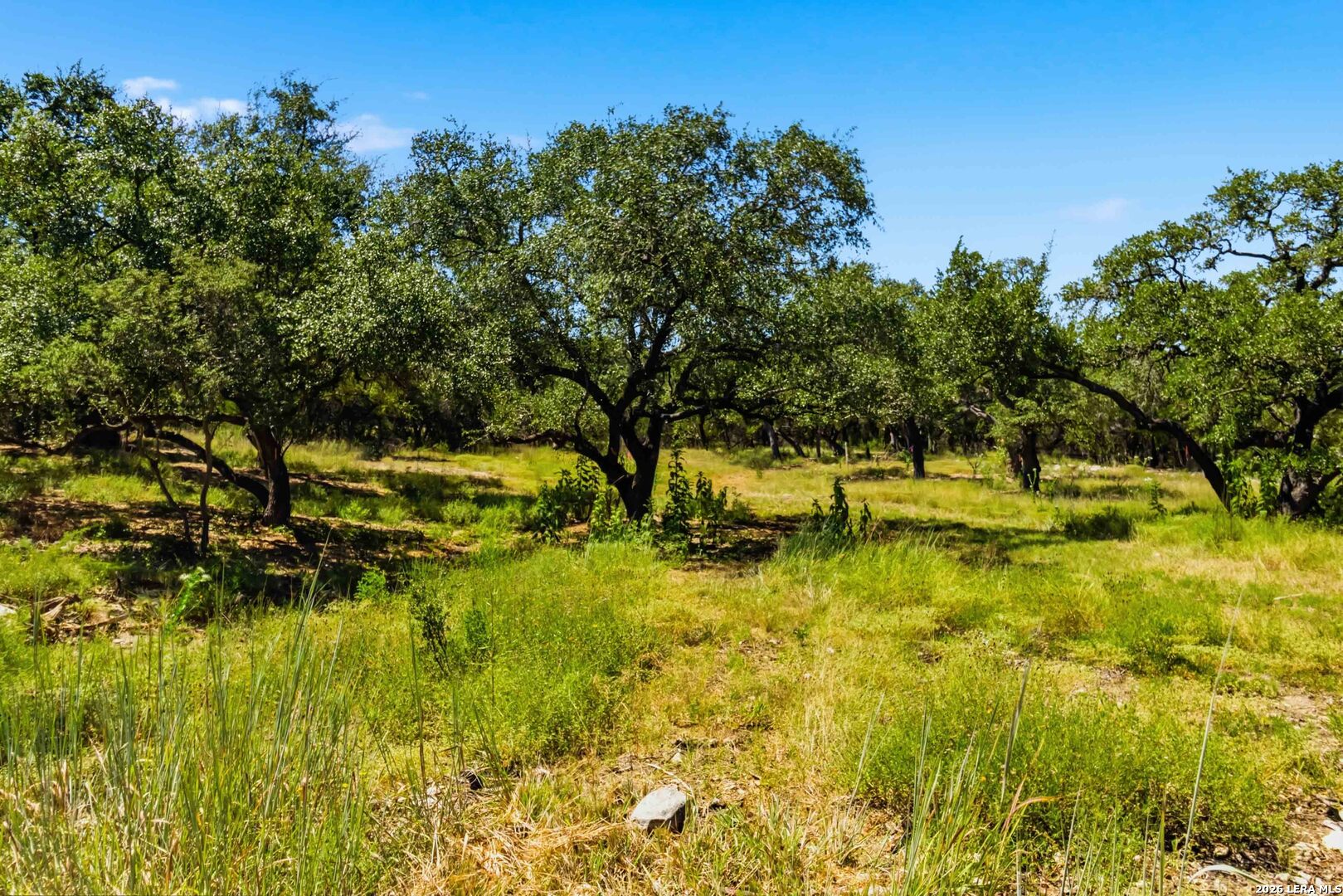 32870 Stahl Lane Bulverde TX 78163