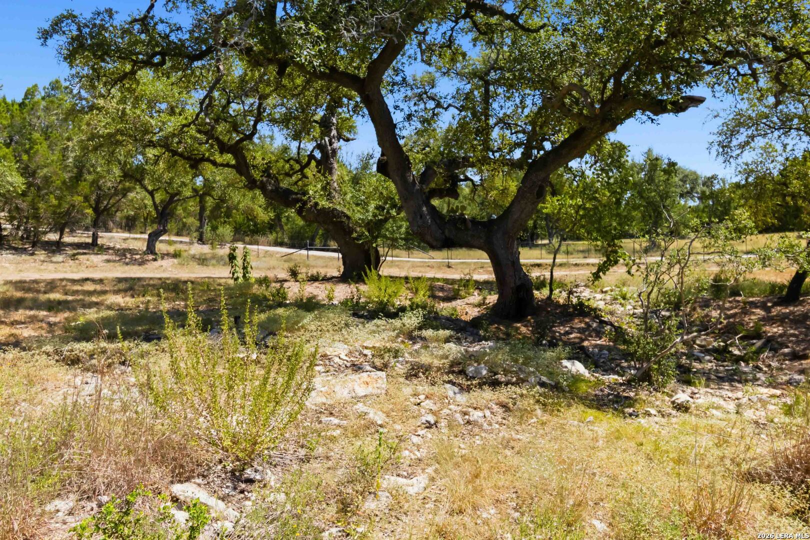 32870 Stahl Lane Bulverde TX 78163