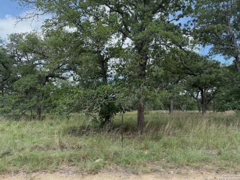 297 Littlehorn Lane Stockdale TX 78160