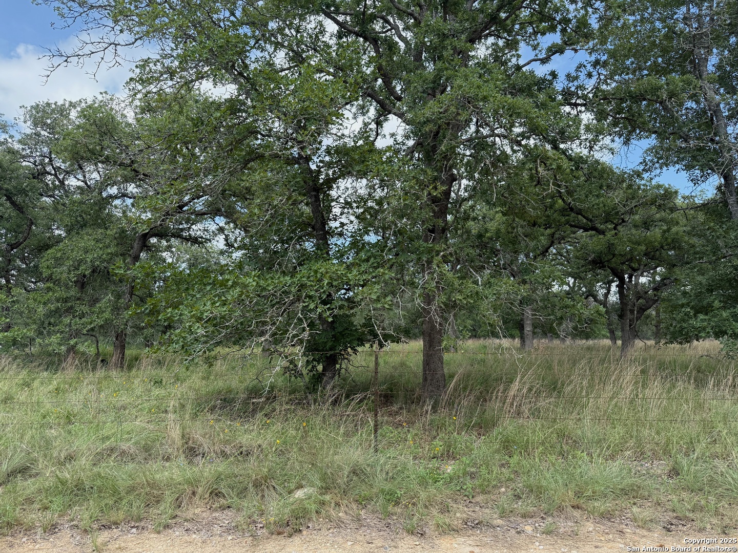 297 Littlehorn Lane Stockdale TX 78160