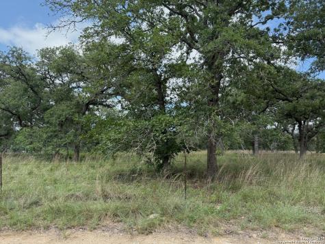297 Littlehorn Lane Stockdale TX 78160