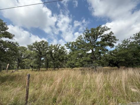 297 Littlehorn Lane Stockdale TX 78160