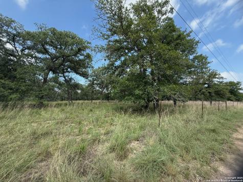 297 Littlehorn Lane Stockdale TX 78160