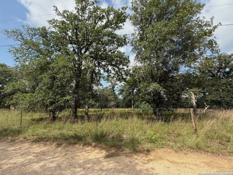 297 Littlehorn Lane Stockdale TX 78160