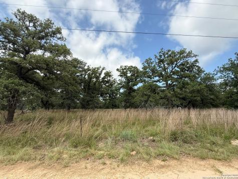 297 Littlehorn Lane Stockdale TX 78160