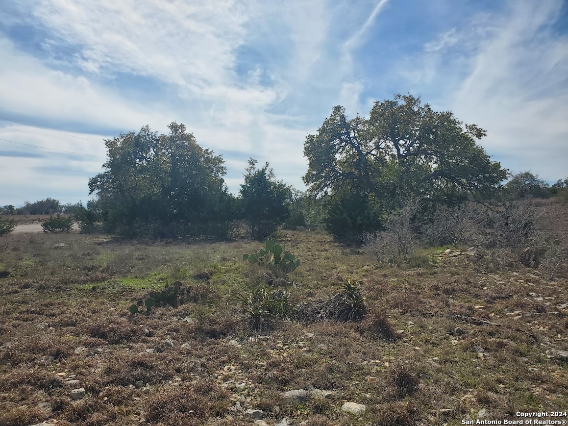 136 W Eli Chandler Blanco TX 78606