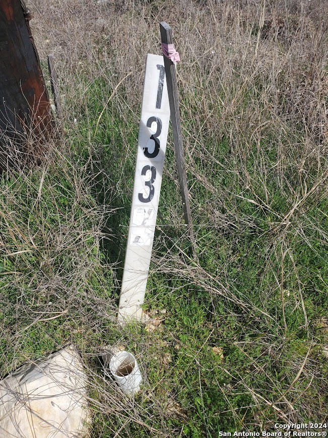 136 W Eli Chandler Blanco TX 78606