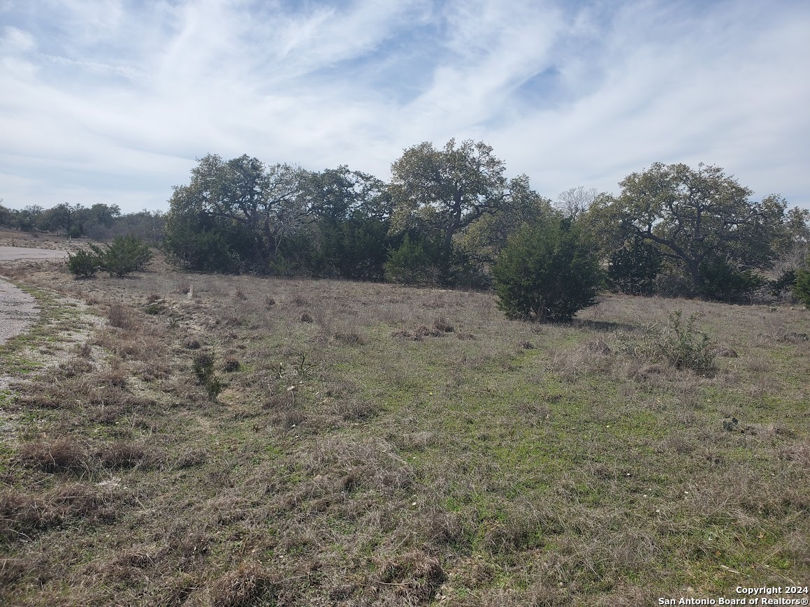136 W Eli Chandler Blanco TX 78606