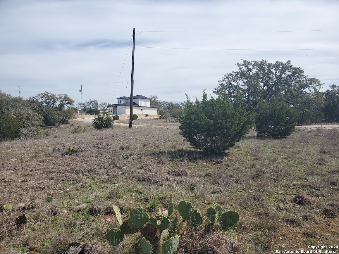 136 W Eli Chandler Blanco TX 78606