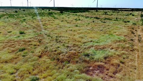 Tract 9 (43.1) San Pablo Road Bruni TX 78344