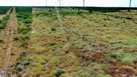 Tract 9 (43.1) San Pablo Road Bruni TX 78344