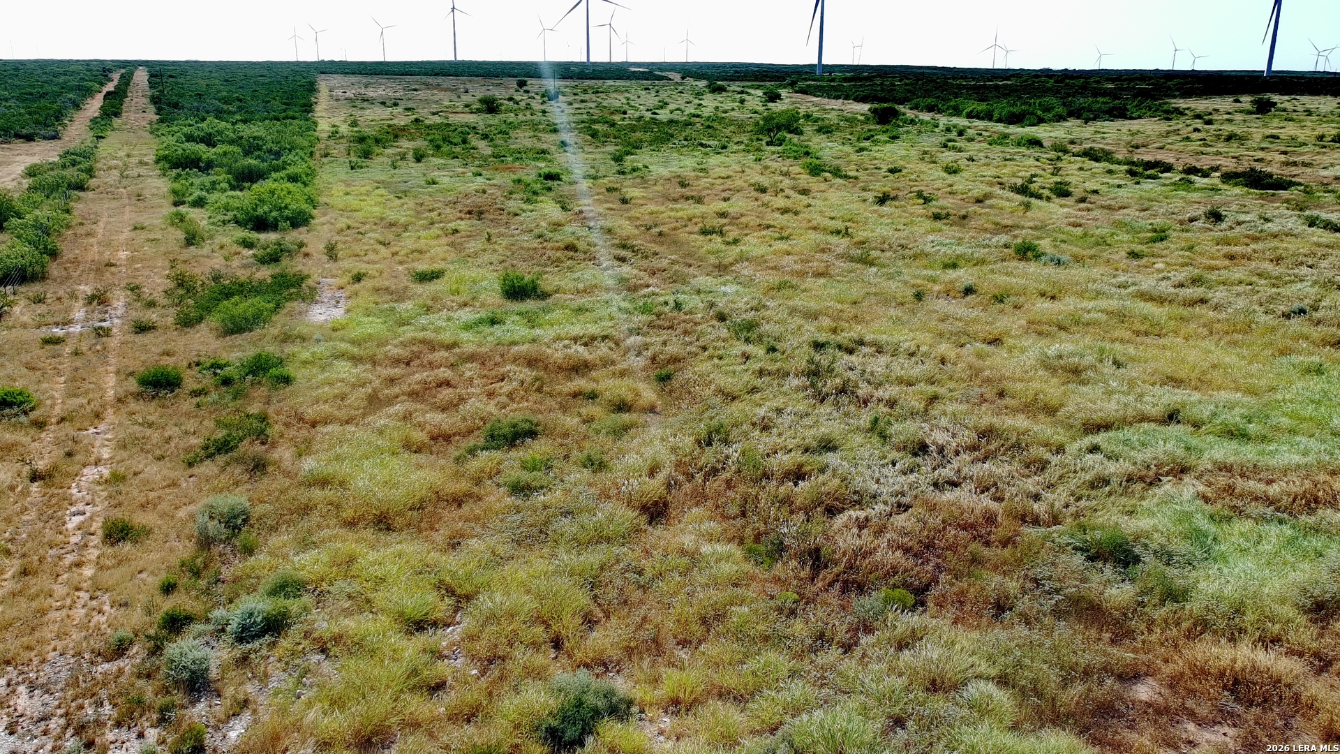 Tract 9 (43.1) San Pablo Road Bruni TX 78344