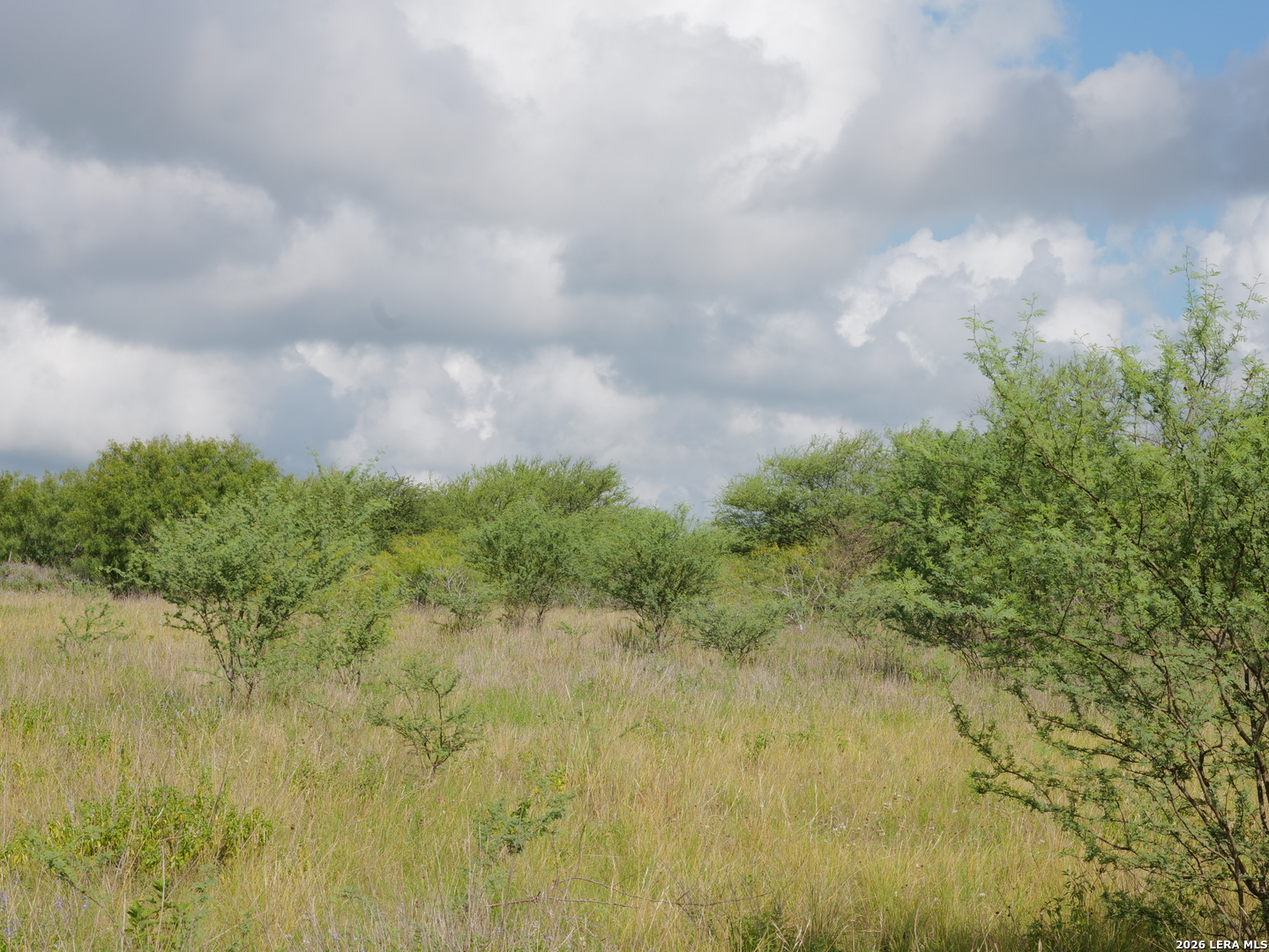 Tbd Lot 2 Cr 207 Hobson TX 78117