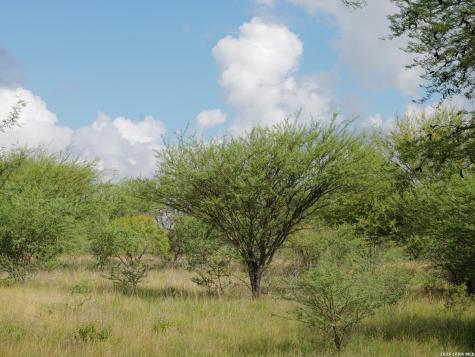 Tbd Lot 2 Cr 207 Hobson TX 78117