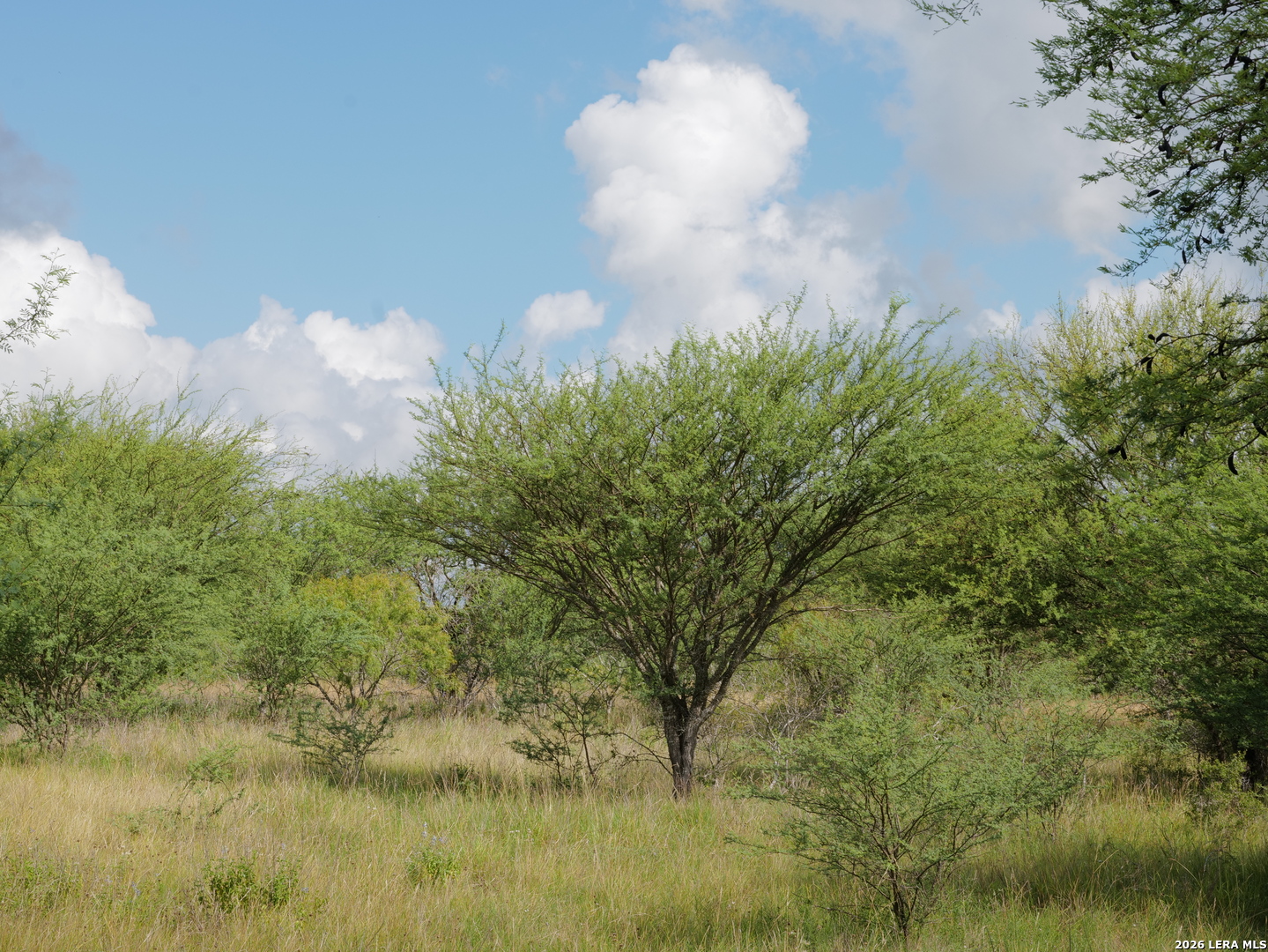 Tbd Lot 2 Cr 207 Hobson TX 78117
