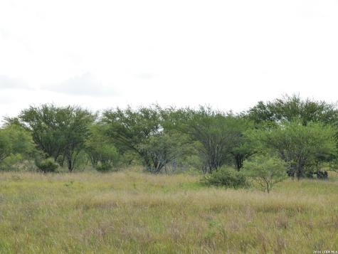Tbd Lot 2 Cr 207 Hobson TX 78117