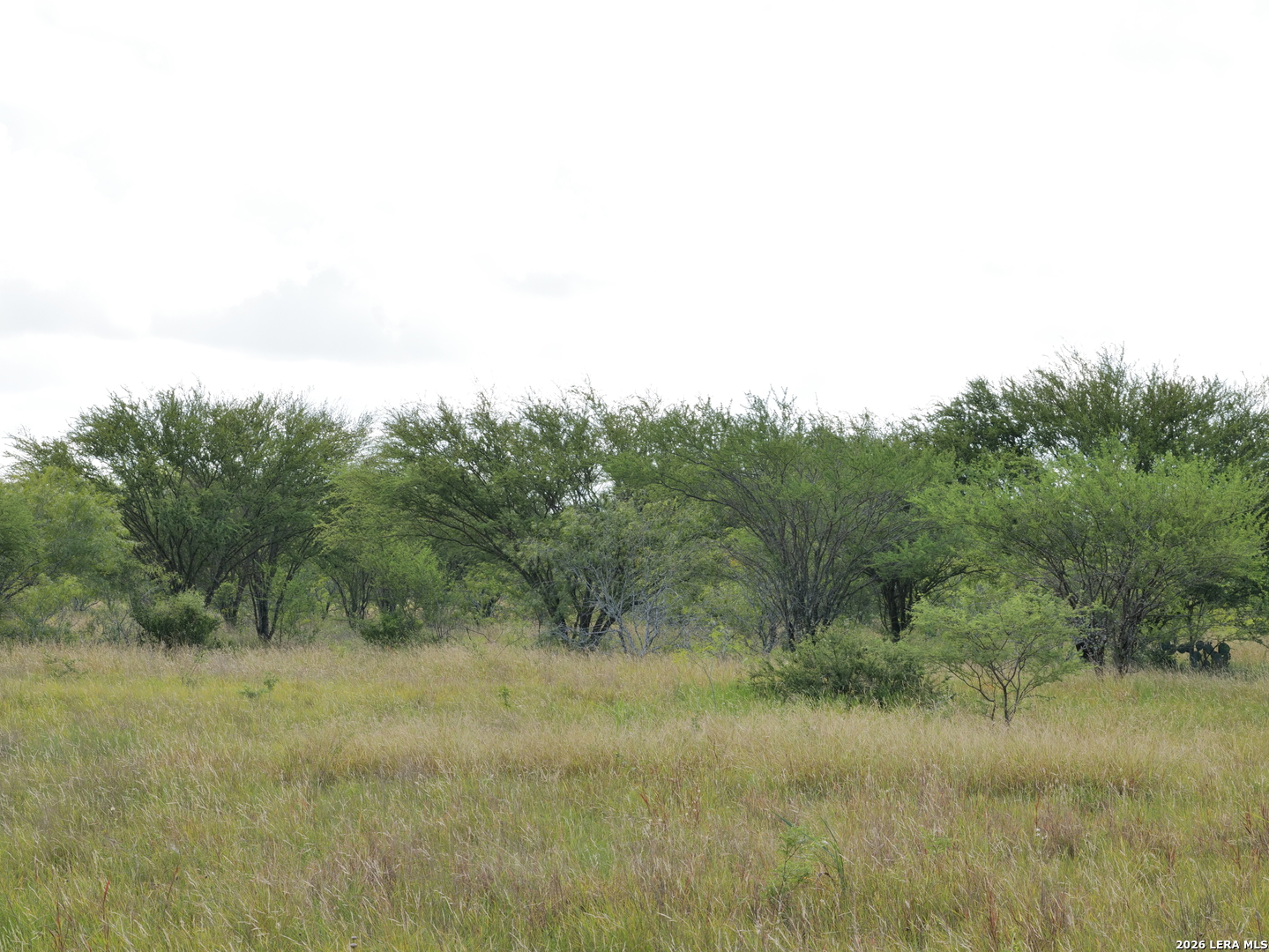 Tbd Lot 2 Cr 207 Hobson TX 78117