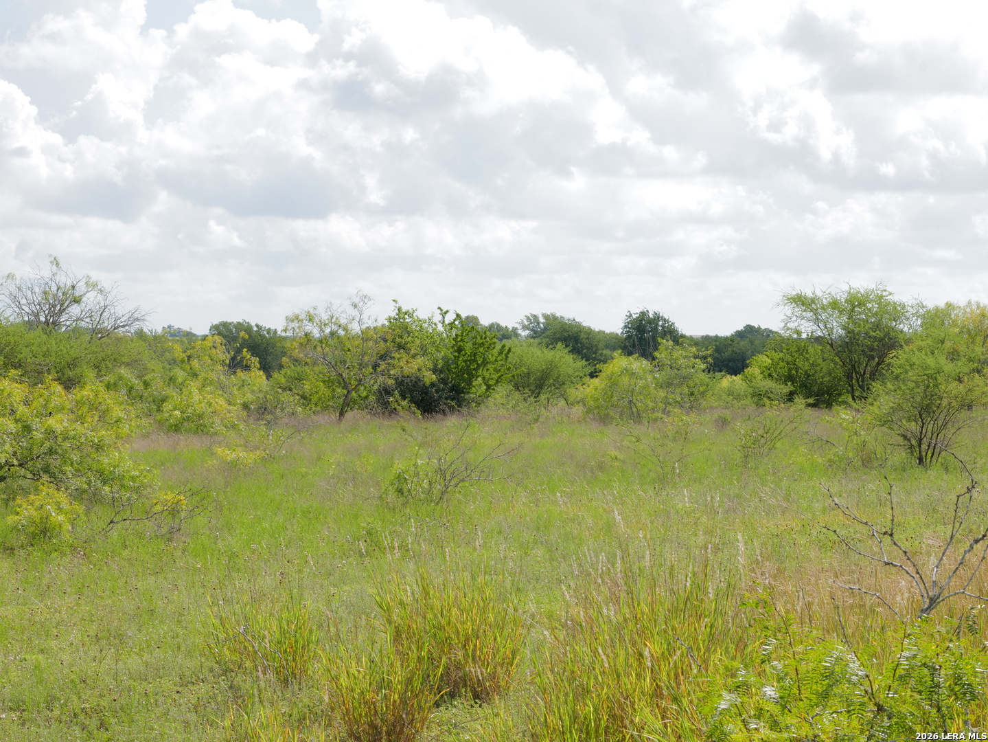 Tbd Lot 2 Cr 207 Hobson TX 78117
