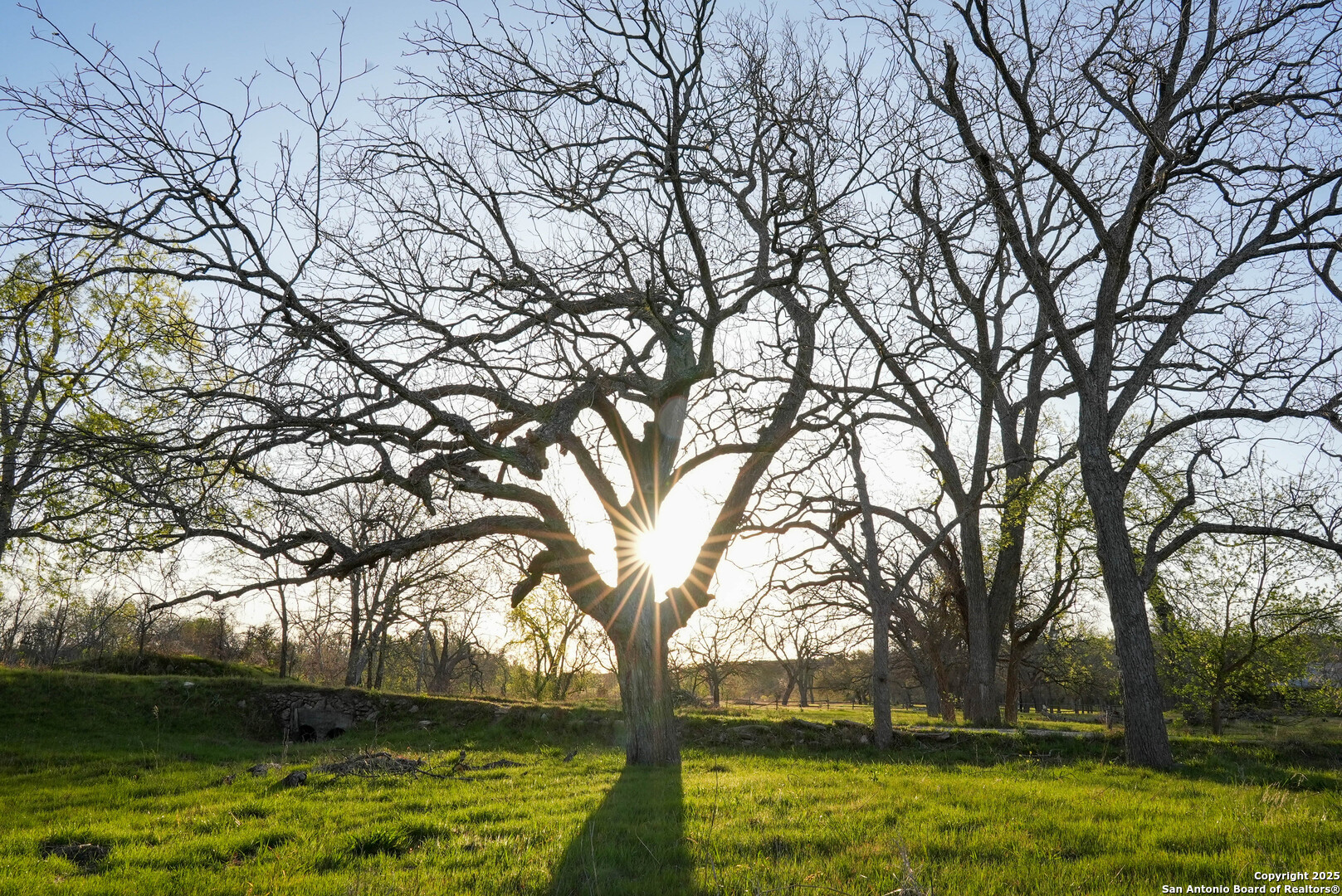 Tbd Lost Acres Loop Blanco TX 78606